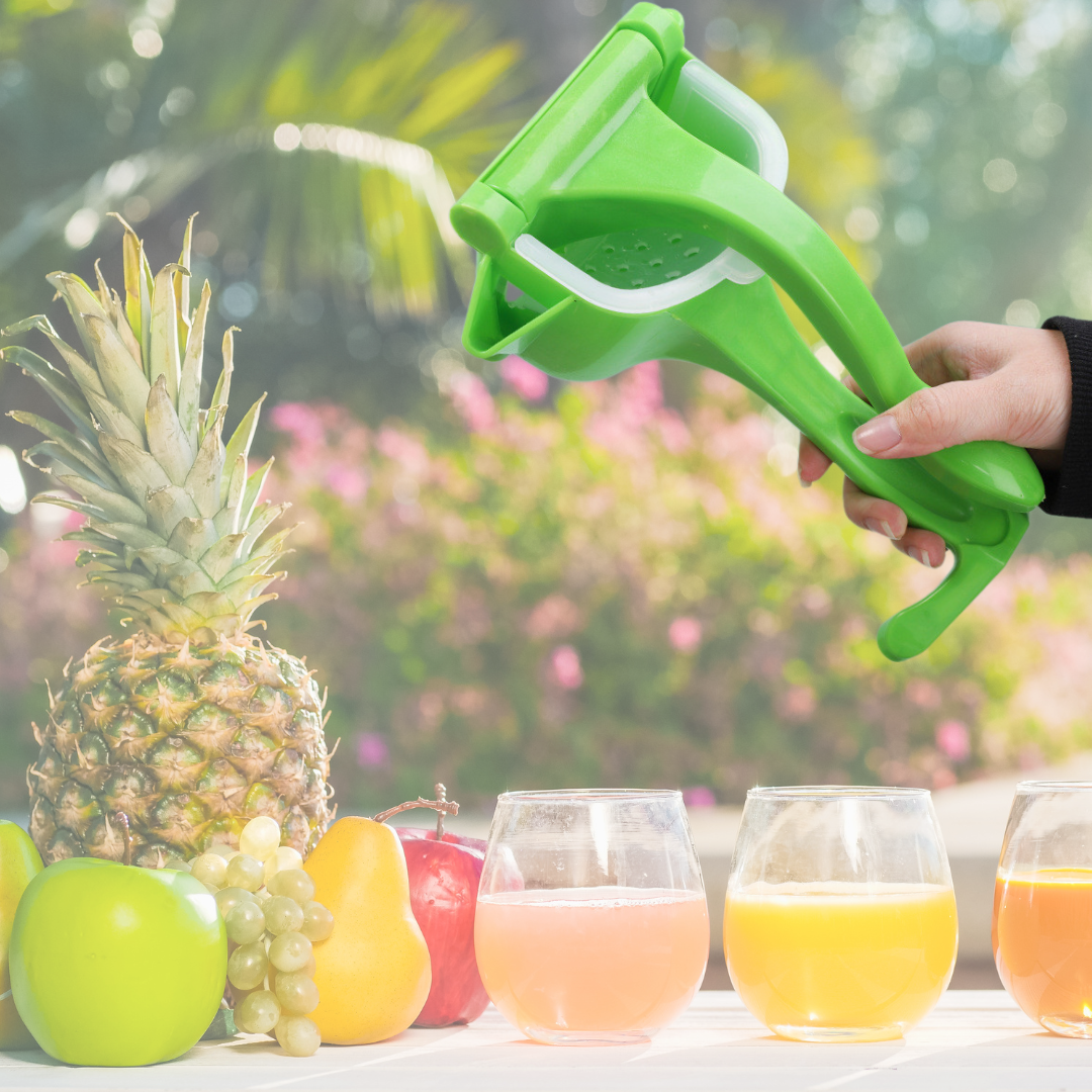 Sprizzy - Spremifrutta Manuale